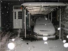 雪化粧！