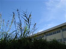 職場にもどことなく秋の雰囲気が 