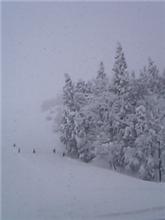 雪山です！！！
