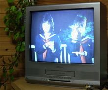 スケバン刑事? スケバン刑事?