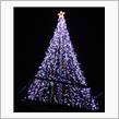 Merry Christma ...