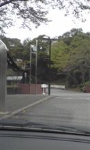 【社会実験】実験再開【してるよ】