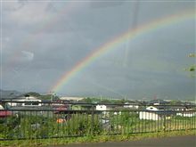 1日セレナと過ごしました。 1日セレナと過ごしました。