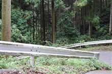 やっぱり地図上の細い道はすごかった。