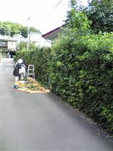 たまにはね(^_^; たまにはね(^_^;