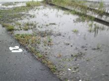 雨・・・