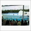 新潟県立水族館マリンピア