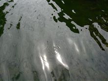 若さとベテランの盲点 若さとベテランの盲点