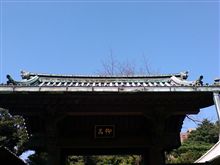 久しぶりに