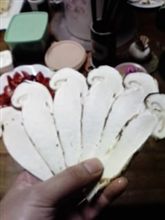 １２センチ６０グラム。