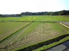 雨宮⇒うなぎ⇒大和の湯