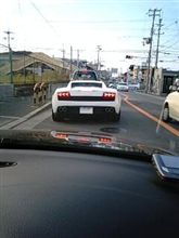 白すぎて