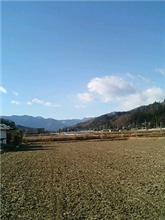 おはようございます♪