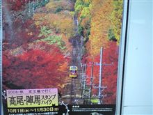 次の被写体は紅葉で♪