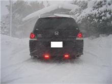 凄い吹雪です！　(&gt;_&lt;)