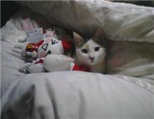 今日は暇だった！？？