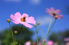 夏休みというか秋休み
