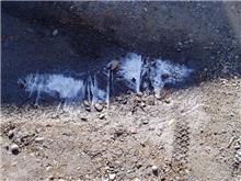 凍える寒さでも、気分爽快？