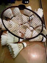 メタボの気休め…