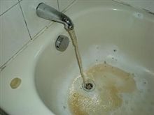 茶色い・・・