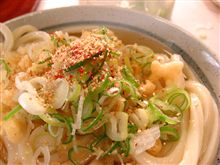四国旅行　＞香川＞高知＞徳島　1日目前半戦