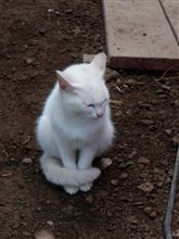 笑ってる？