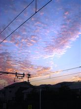 Go West