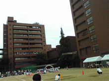 幼稚園の運動会に来ています。