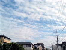 秋晴れ④