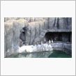 福山市立動物園へ