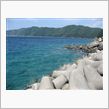 &#39;08ぶらり釣りVS潜り旅inみかん王国