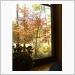 北軽井沢の紅葉