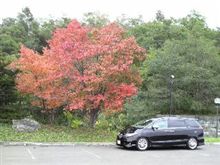紅葉と新米