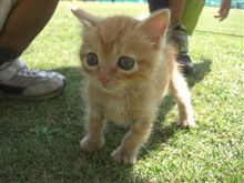 あﾞーーーーーなんてかわいいんだ（＾ー＾）