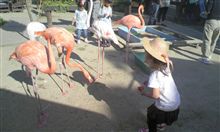 ミニ動物園