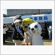 不思議な共演