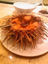 ウマウマ
