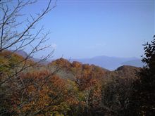 紅葉見物