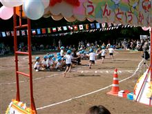 【保育園の運動会】に・・・。