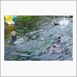 【箱根園】水族館とパン工房と ...