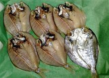 徳島で「秋の魚」といえば？