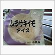 講習の帰り道