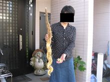山芋～だべ～