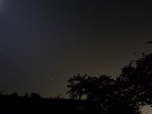 今夜は･･･