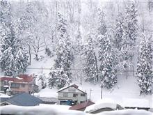 新潟は一面の雪