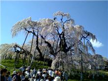 静かに一年を振り返る 静かに一年を振り返る