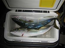 刺身釣り・・・！？