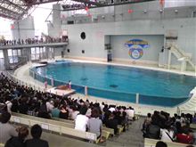 八景島シーパラダイス～