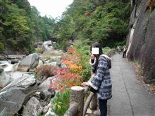 少し早かった紅葉。