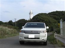 紅葉見に行くはずが 紅葉見に行くはずが